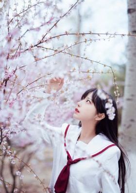 大鱼视频在线观看_1080P免费在线播放